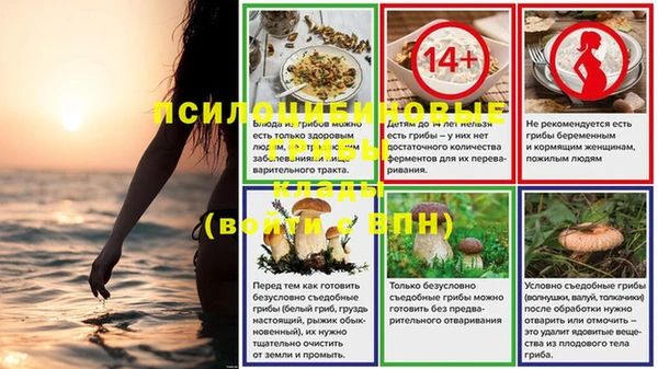 таблы Осинники