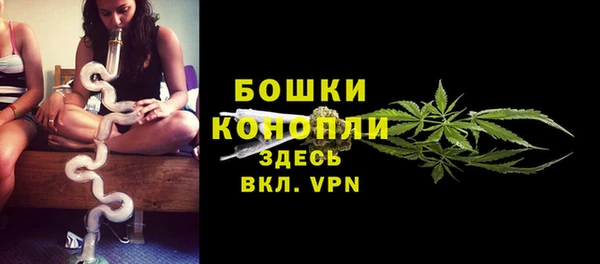 таблы Осинники