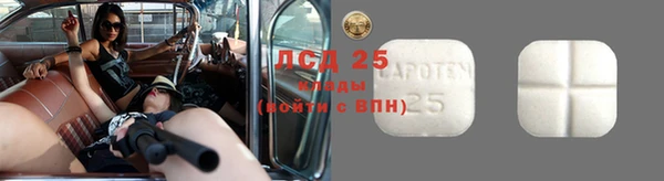 таблы Осинники