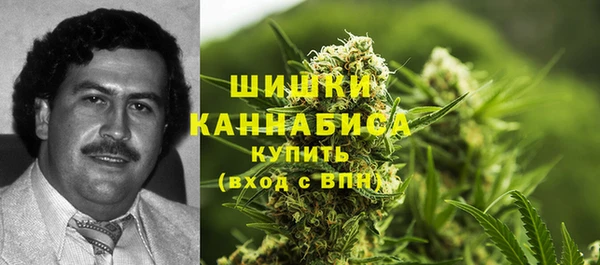 таблы Осинники