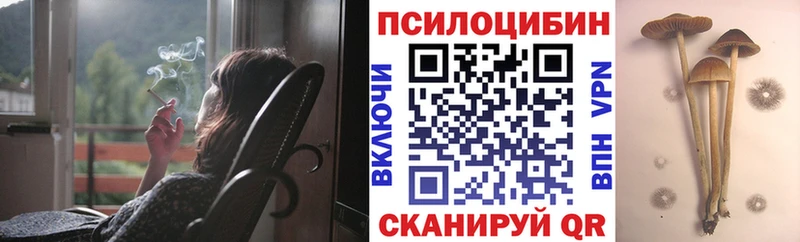 Псилоцибиновые грибы ЛСД дарнет шоп Тимашёвск
